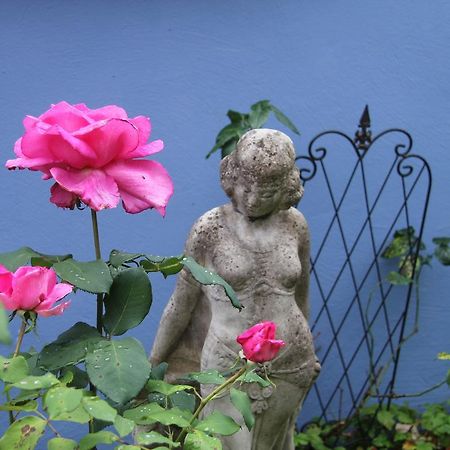 No.31 B&B Im Rosengarten Kapellen-Drusweiler Luaran gambar