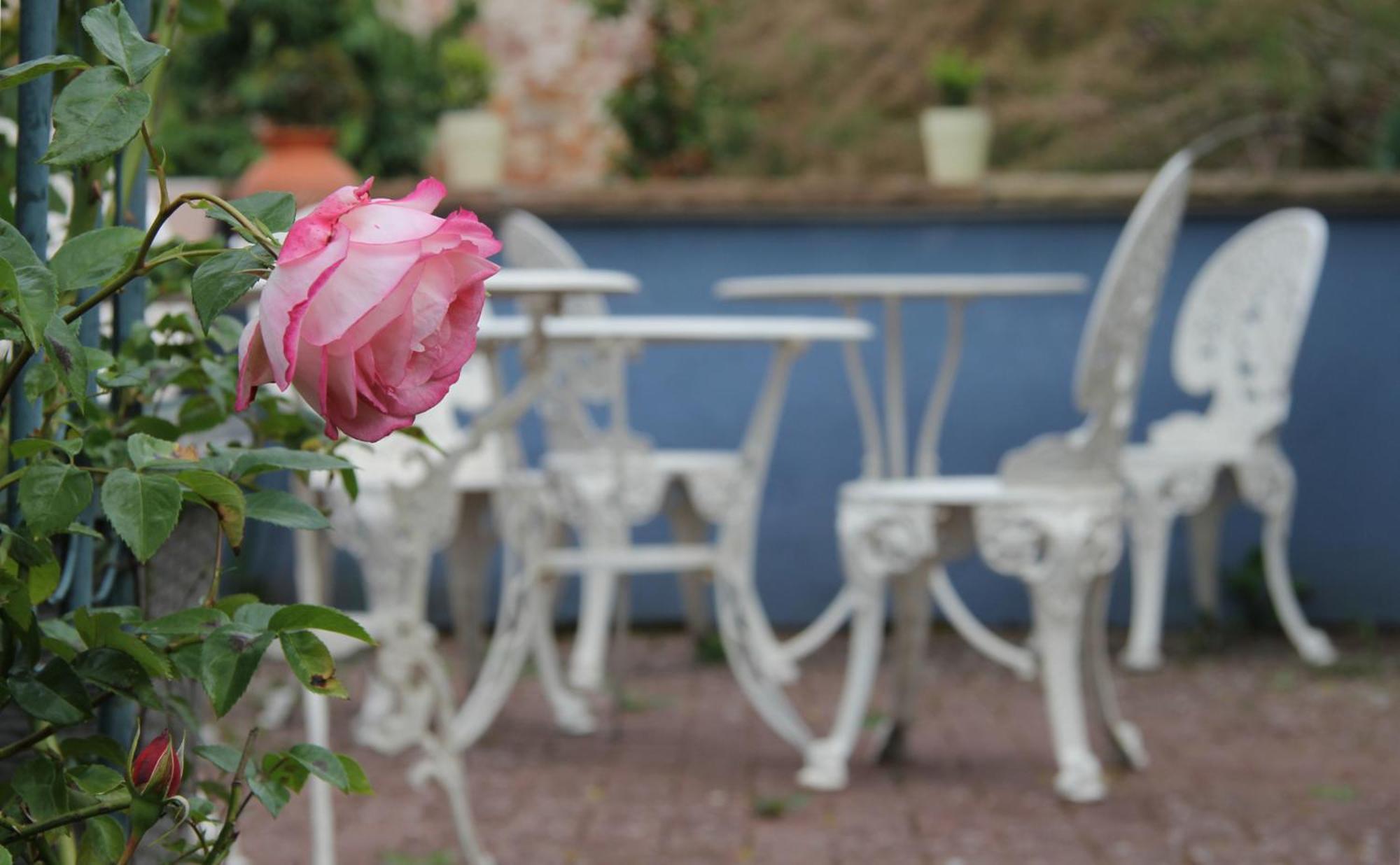No.31 B&B Im Rosengarten Kapellen-Drusweiler Luaran gambar