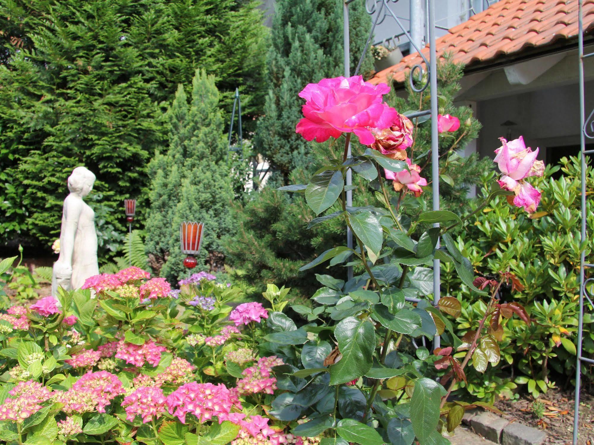 No.31 B&B Im Rosengarten Kapellen-Drusweiler Luaran gambar